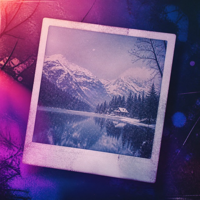 ปกเพลง Polaroid December